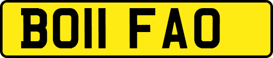 BO11FAO