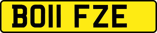 BO11FZE