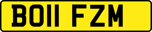 BO11FZM