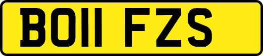 BO11FZS