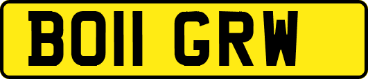 BO11GRW