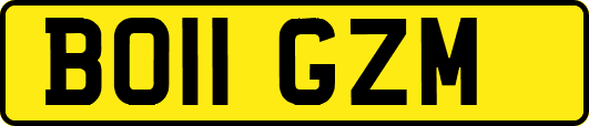 BO11GZM