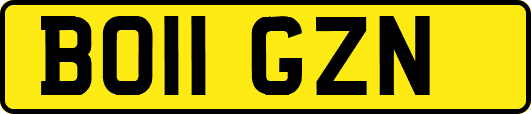 BO11GZN