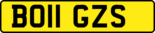BO11GZS
