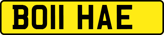 BO11HAE