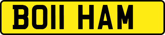 BO11HAM