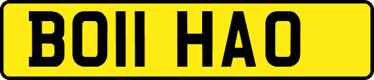 BO11HAO
