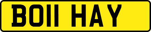 BO11HAY