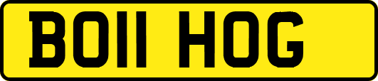 BO11HOG