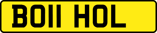 BO11HOL