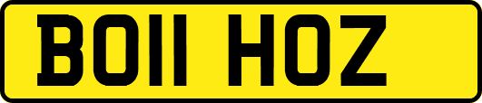 BO11HOZ
