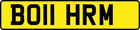 BO11HRM