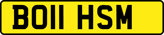 BO11HSM