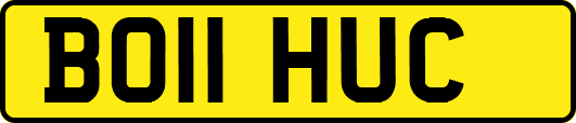 BO11HUC