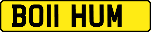 BO11HUM