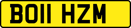 BO11HZM