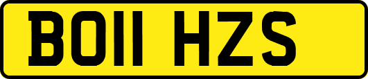 BO11HZS