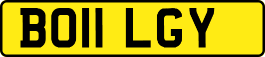 BO11LGY