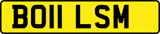 BO11LSM