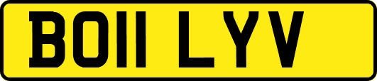 BO11LYV