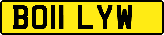 BO11LYW