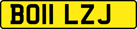 BO11LZJ