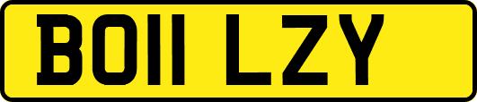 BO11LZY