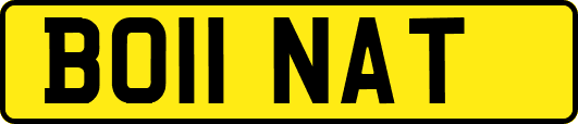 BO11NAT