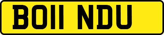 BO11NDU