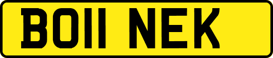 BO11NEK