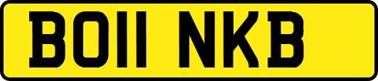 BO11NKB