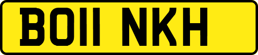 BO11NKH