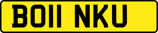BO11NKU