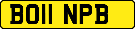 BO11NPB