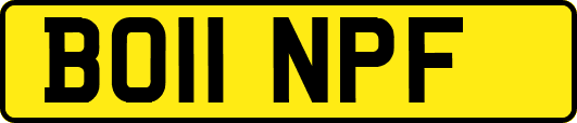 BO11NPF