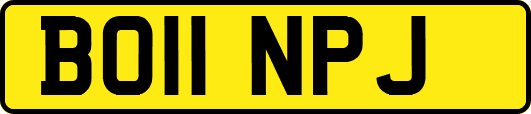 BO11NPJ