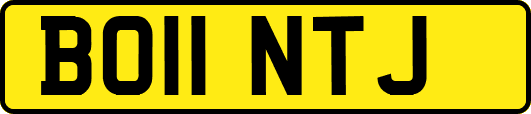 BO11NTJ