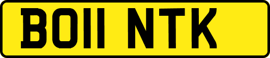 BO11NTK