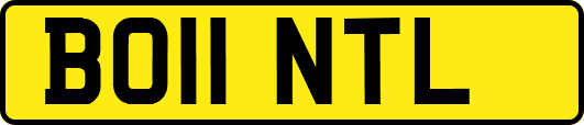 BO11NTL