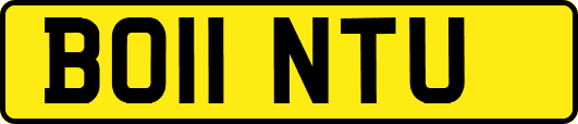 BO11NTU