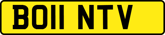 BO11NTV