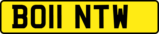 BO11NTW