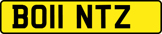 BO11NTZ
