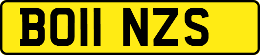 BO11NZS