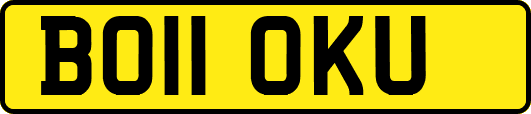 BO11OKU
