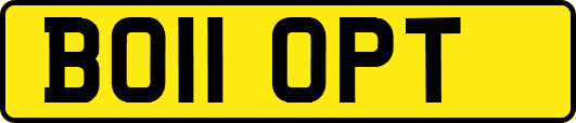 BO11OPT