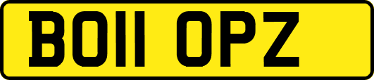 BO11OPZ