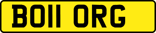 BO11ORG