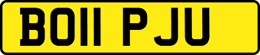 BO11PJU