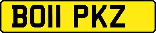 BO11PKZ